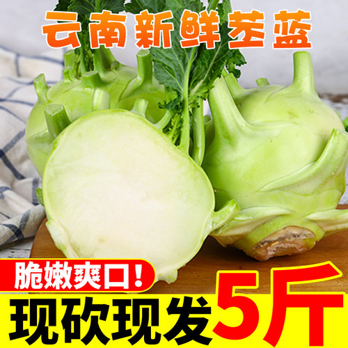 现砍现发 脆嫩爽口