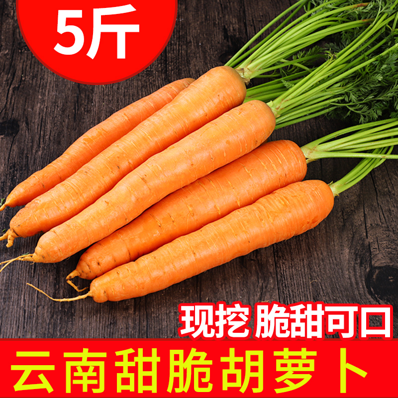 云南新鲜现挖胡萝卜时令蔬菜5斤现挖现发产地直发当季蔬菜包邮