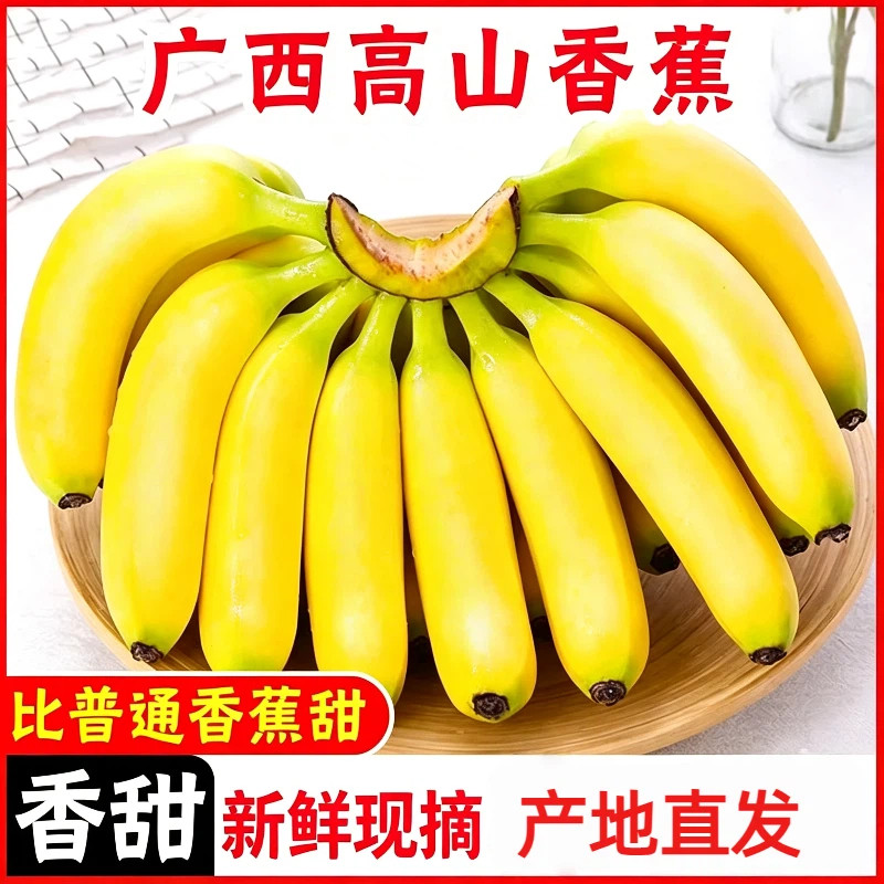 优选广西高山甜香蕉10斤当季新鲜水果大芭蕉软糯香甜皇帝蕉整箱