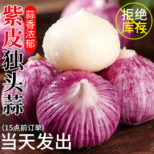 紫皮独头蒜新鲜应季现挖现发