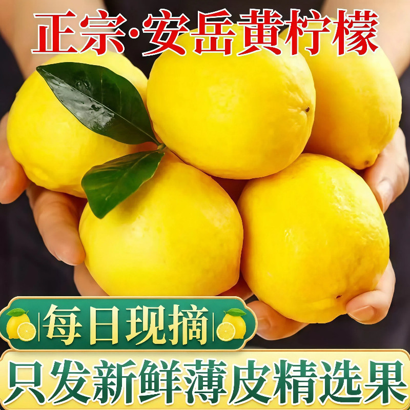四川安岳黄柠檬正宗新鲜水果当季整箱精选薄皮奶茶店专用榨汁鲜果