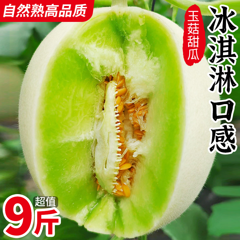 冰淇淋玉菇甜瓜9斤新鲜水果整箱包邮当季正宗白香瓜羊角哈10蜜瓜