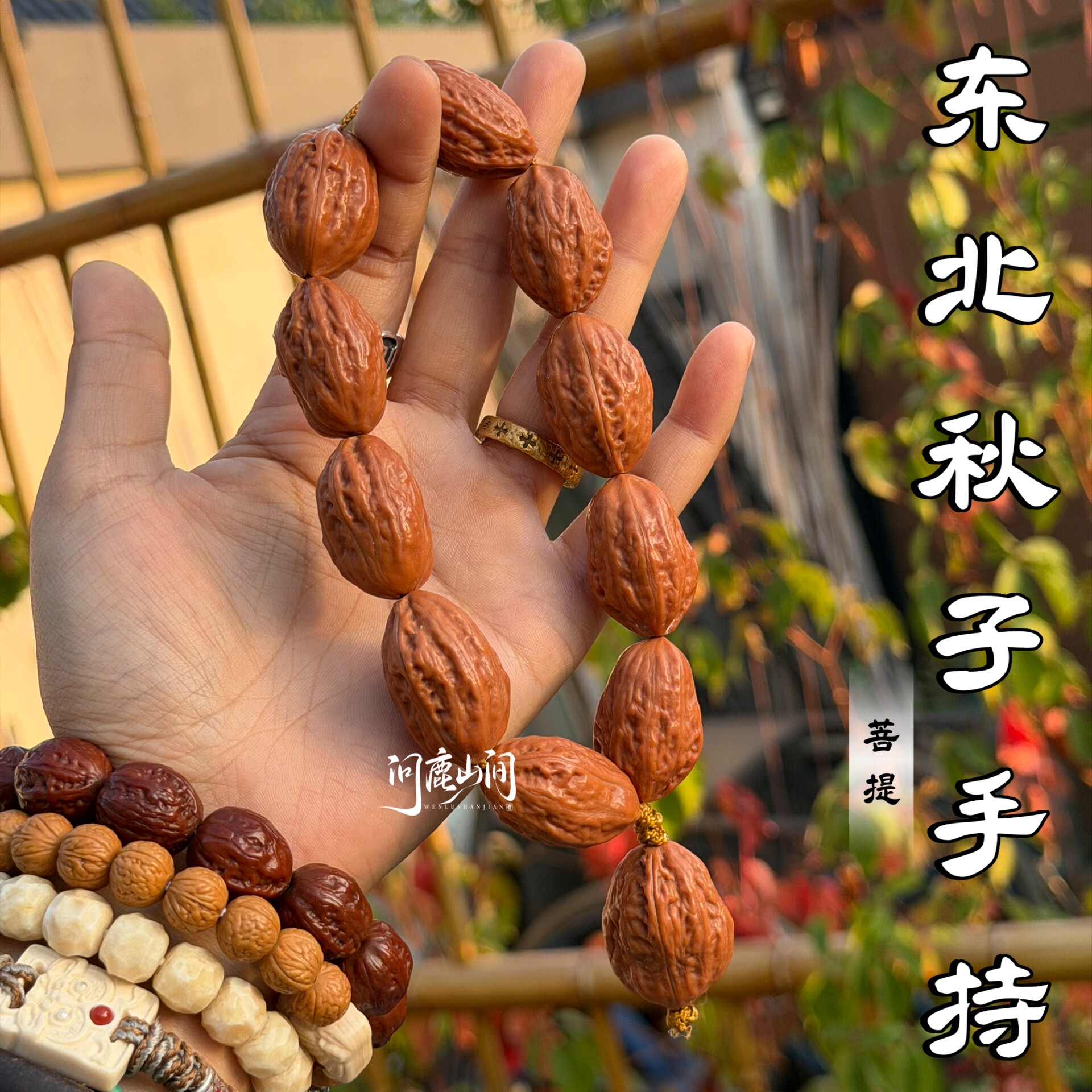 问鹿山间东北野生文玩核桃手串手持秋子
