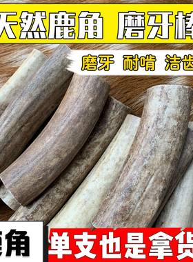 鹿角磨牙棒狗狗骨头泰迪柯基幼犬
