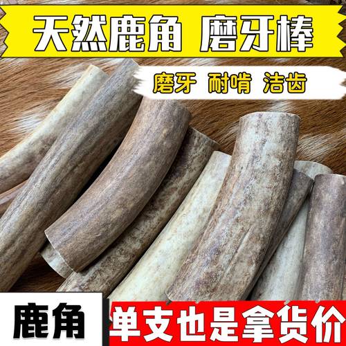 鹿角磨牙棒狗狗骨头泰迪柯基幼犬