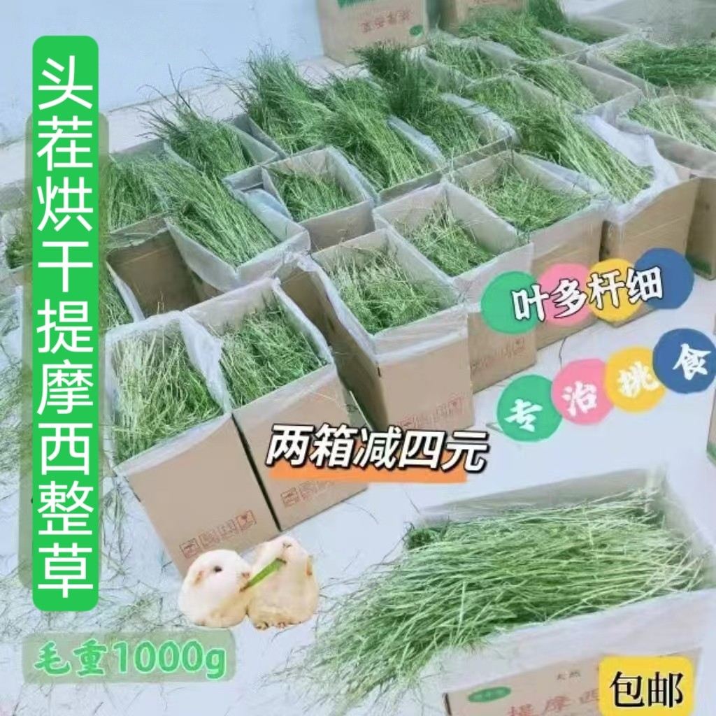 繁星牧草2026年新头茬烘干提摩西草干草箱装兔草龙猫粮岷县北提
