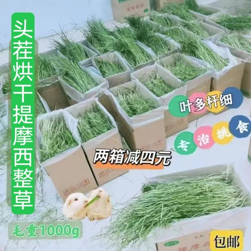 繁星牧草2026年新头茬烘干提摩西草干草箱装兔草龙猫粮岷县北提