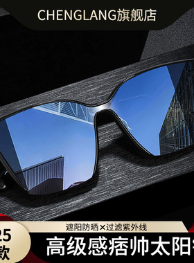 眼镜男款高级感痞帅风太阳镜偏光