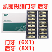 沪鸽凯丽合成树脂牙门牙6X1 后牙8X1 全口树脂牙高耐磨义齿牙科