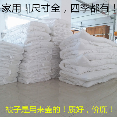 被芯家用学生单人加厚厚保暖