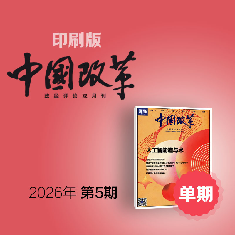 《中国改革》印刷版单期1本 中国改革 财新传媒官方正品 正版财经商业杂志 财经新闻财经类期刊订阅 包邮免费快递
