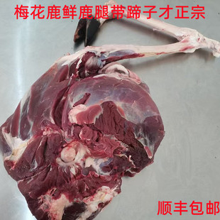 吉林梅花鹿腿鹿肉整只鹿肉新鲜10斤鲜鹿肉带蹄子生鲜即食年货送礼
