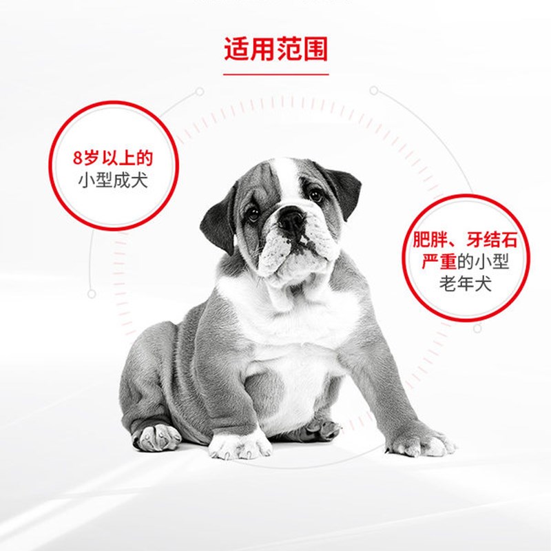 皇家狗粮小型老年犬SpM25/1.5KG7岁以上犬主粮全价粮