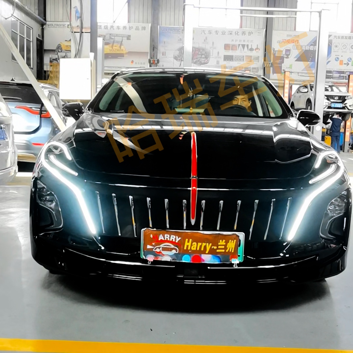 适用于红旗E-QM5日间行车灯/第三代eqm5日行灯/车标灯/流水转向灯