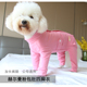 安班春秋全棉公母狗包肚术后恢复衣服泰迪比熊博美狗猫咪素色薄款
