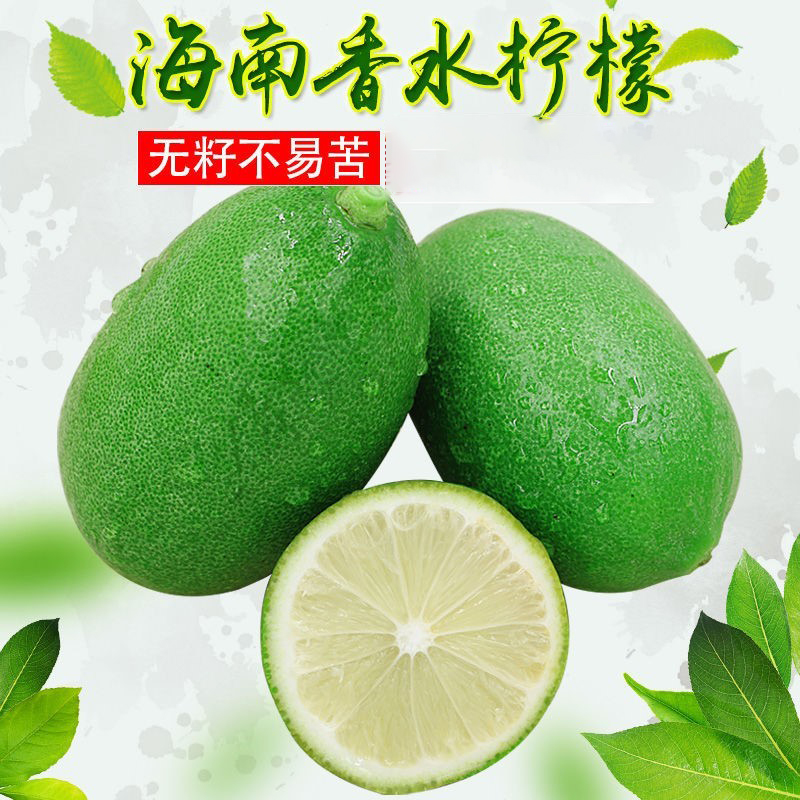 海南香水柠檬奶茶专用无籽柠檬