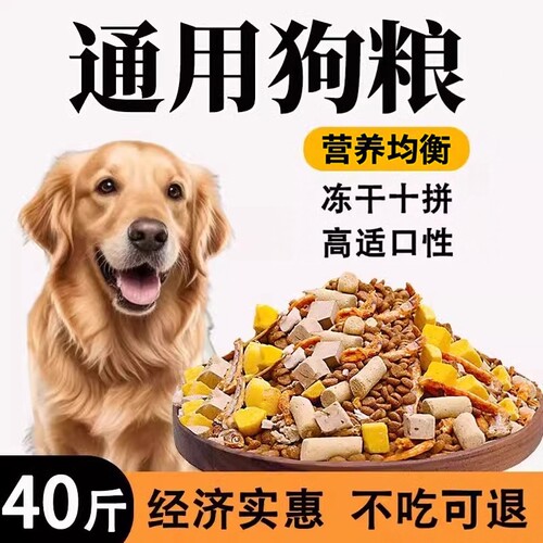 通用型成犬幼犬狗粮柯基泰迪狗粮