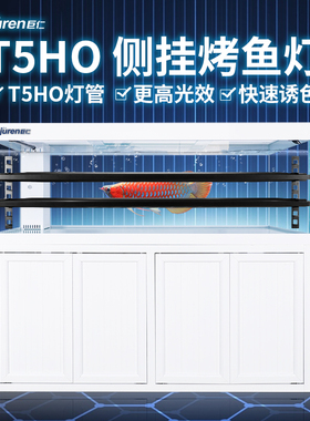 T5龙鱼灯鱼缸专用烤鱼诱发色灯侧挂灯飞利浦NEC龙鱼灯巨仁支灯架