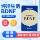 北京纯净生活BDNF杜教授活力小蓝瓶正品 官方店bdnf1盒60粒