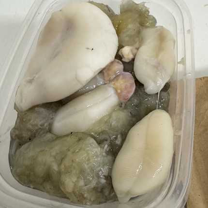 无盐淡蛋膏 450g 宁波特产海鲜东海墨鱼蛋带膏大白乌贼蛋舟山新鲜