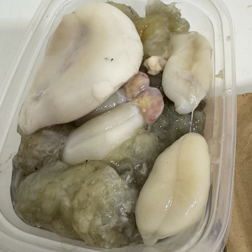 无盐淡蛋膏 450g 宁波特产海鲜东海墨鱼蛋带膏大白乌贼蛋舟山新鲜