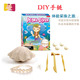儿童益智考古挖掘玩具化石标本贝壳海洋珍珠手链手工串珠DIY亲子