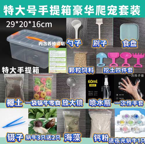 白玉蜗牛活体无毒手提箱套装