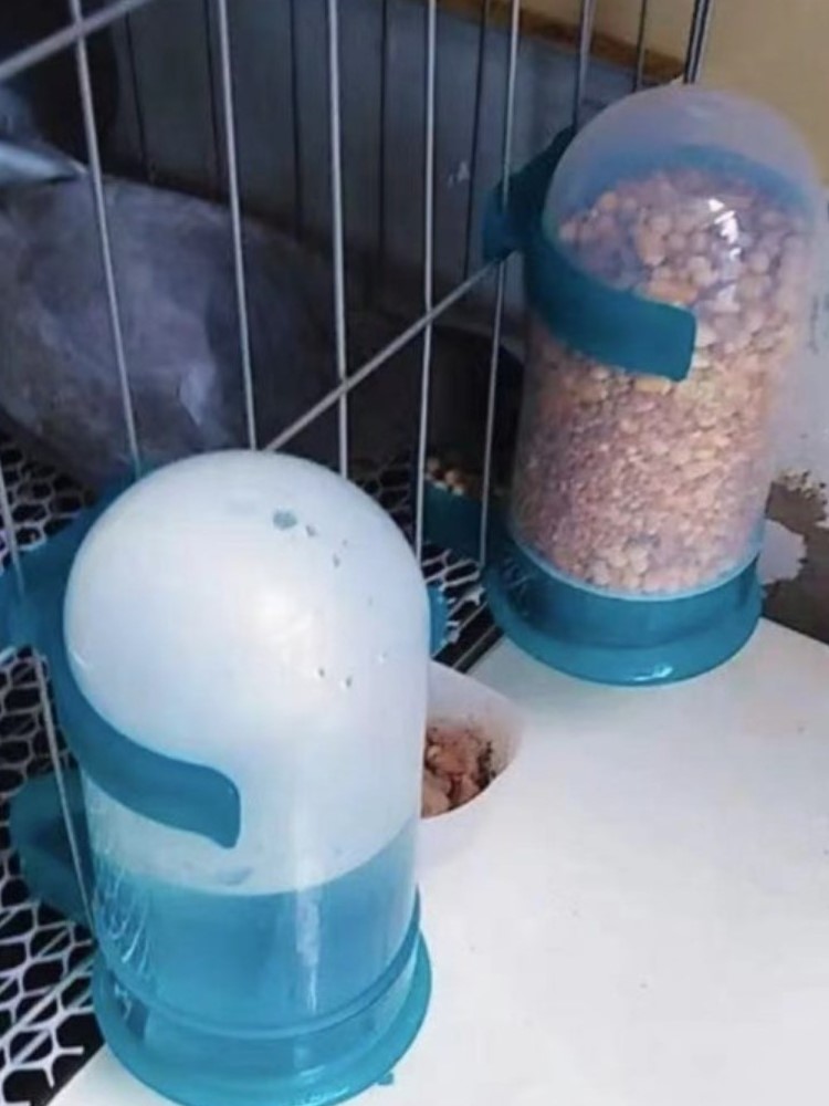 鸽子饮水器卢丁鸡自动喂水壶信鸽用品用具鹌鹑喂食器鸟用食盒食槽