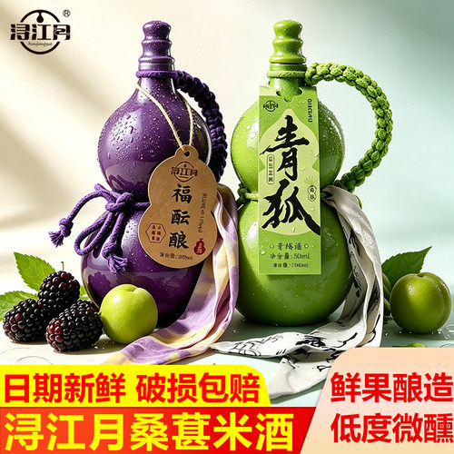 浔江月桑葚果酒国风葫芦青梅酒