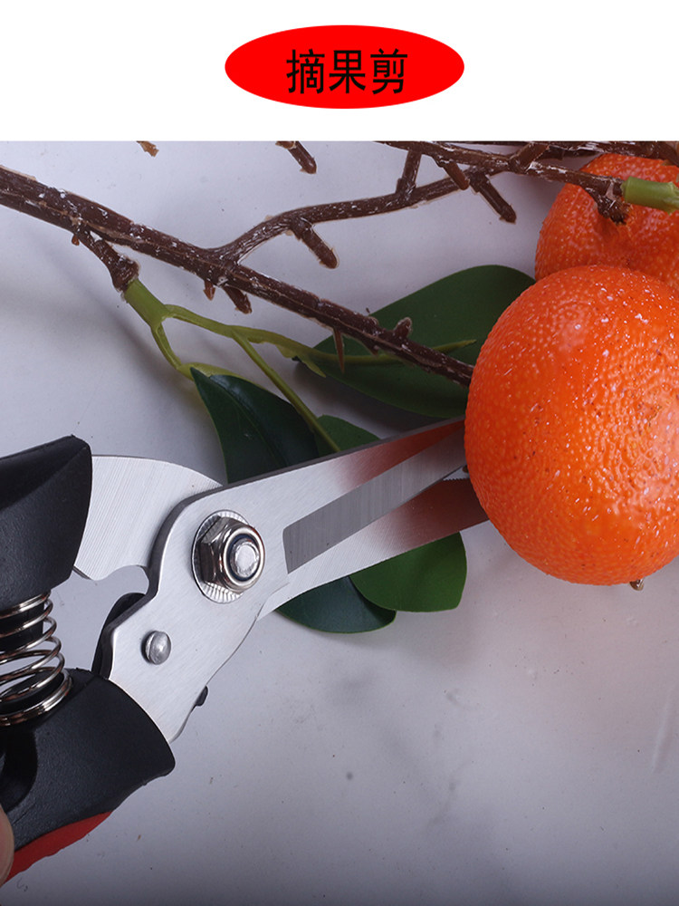 독일 과일 나무 가지 치기 가위 스테인레스 스틸 가정용 원예 가위 리바운드 가지 치기 가위 가지 가위 꽃 가위