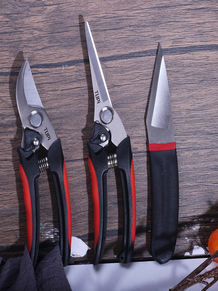 독일 과일 나무 가지 치기 가위 스테인레스 스틸 가정용 원예 가위 리바운드 가지 치기 가위 가지 가위 꽃 가위