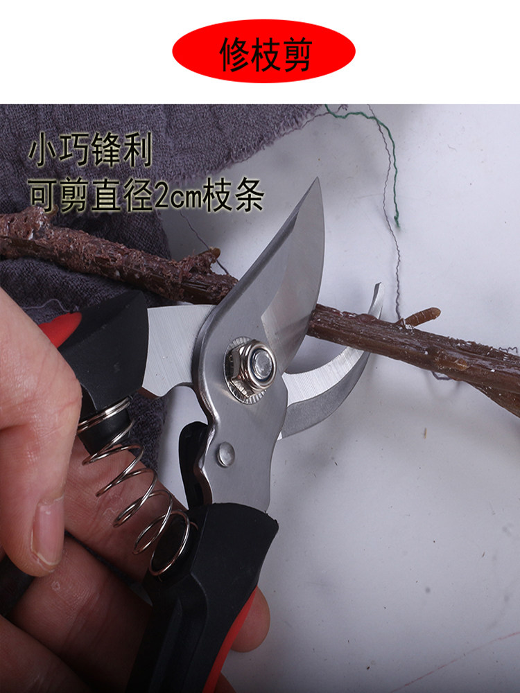 독일 과일 나무 가지 치기 가위 스테인레스 스틸 가정용 원예 가위 리바운드 가지 치기 가위 가지 가위 꽃 가위