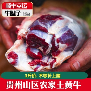 贵州当天现杀高山放养新鲜生土黄牛肉健身背柳健身肉前腱子肉3斤