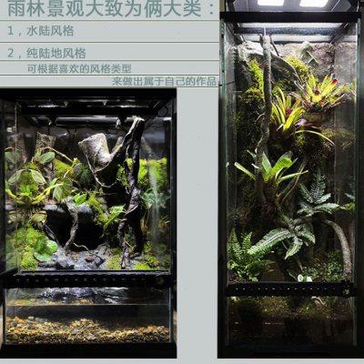雨林缸全套设备套餐生态缸水陆缸热带雨林植物超白玻璃柜全套器材