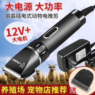 宠物电推剪 跨境绒山羊绵羊剃毛器大功率毛长兔猫狗狗电推子