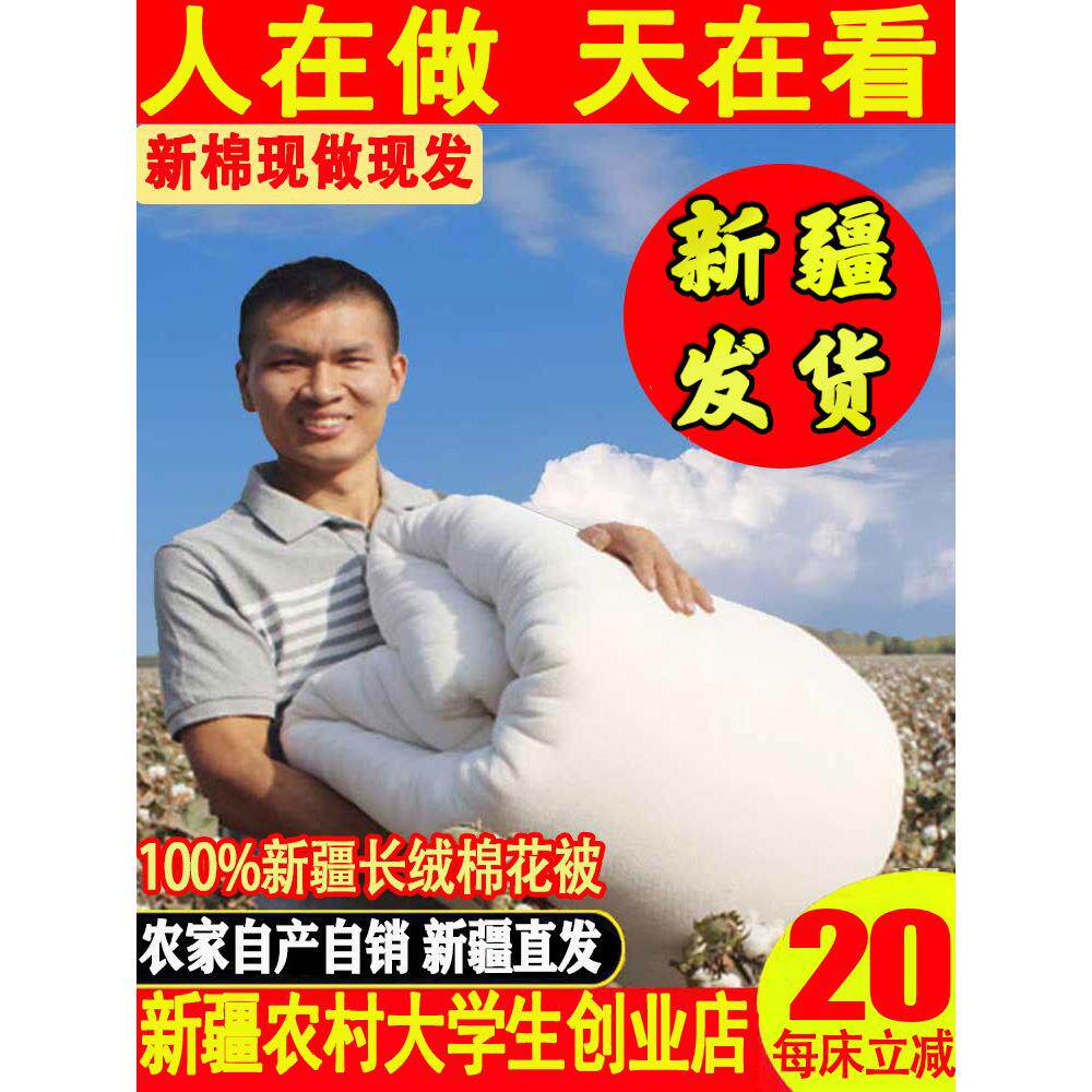 新疆直发棉花被 单人宿舍冬加厚保暖冬季纯棉冬被被子棉芯棉被芯