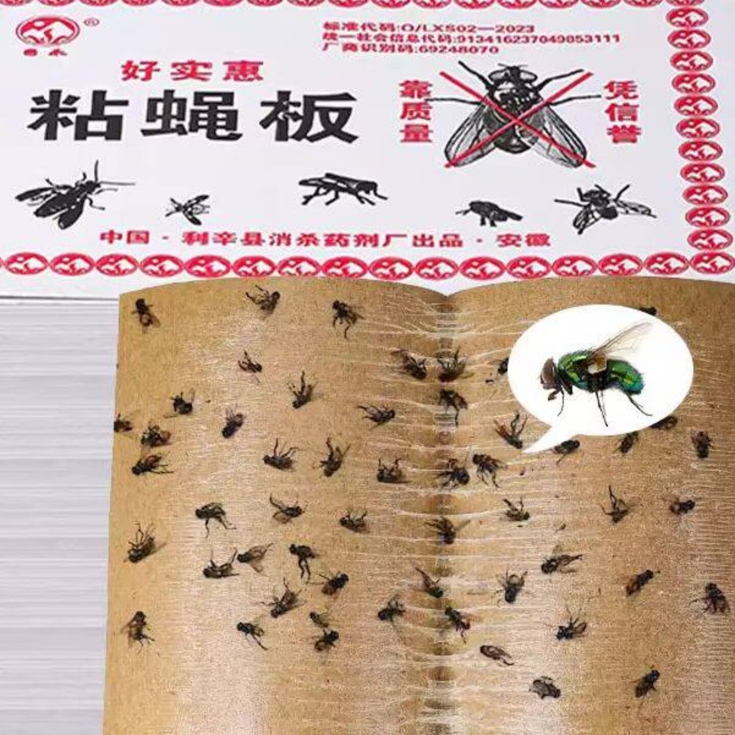 猫咪牌强力粘蝇贴物理家用餐厅捕捉苍蝇纸灭蝇板高效无毒环保