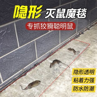 粘鼠板强力胶水老鼠贴灭捕抓捉沾大老鼠一窝端家用超强加灭鼠神器