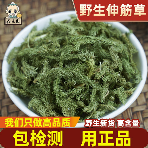 仙太医野生中药材伸筋草500g