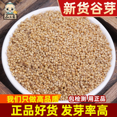 仙太医谷芽中药材500g新货