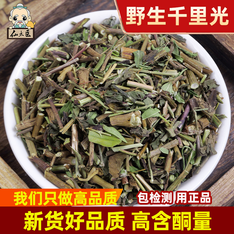 仙太医野生无硫中药材千里光500g