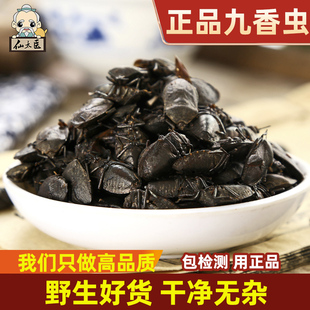 仙太医中药材九香虫100克药用食用野生打屁虫臭大姐屁巴虫可磨粉