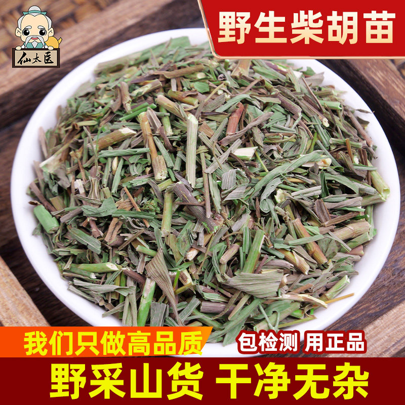 仙太医 柴胡苗中药材500g克正品小柴胡苗春柴胡苗北柴胡苗