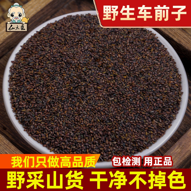 仙太医原色野生中药材车前子500g图片