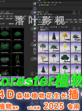 仅限Win C4D2025 专用植物插件c4d Forester植物树木快速生成插件