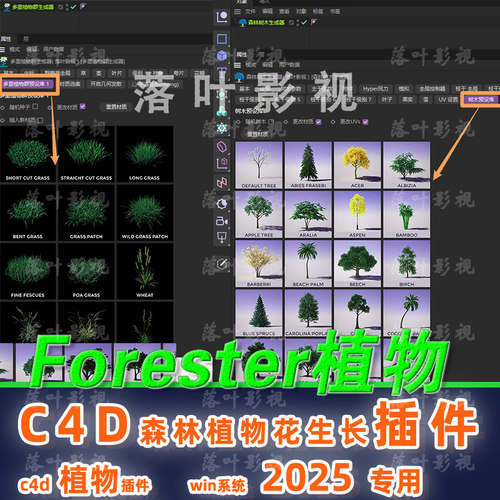 仅限Win C4D2025 专用植物插件c4d Forester植物树木快速生成插件