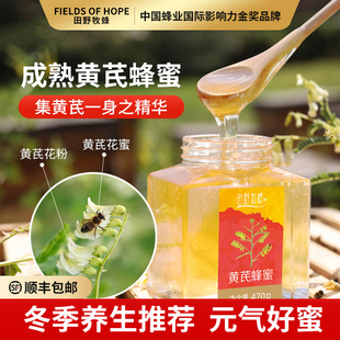 田野牧蜂黄芪蜂蜜天然成熟蜜稀有正宗甘肃黄芪本草蜜秋冬滋补新蜜