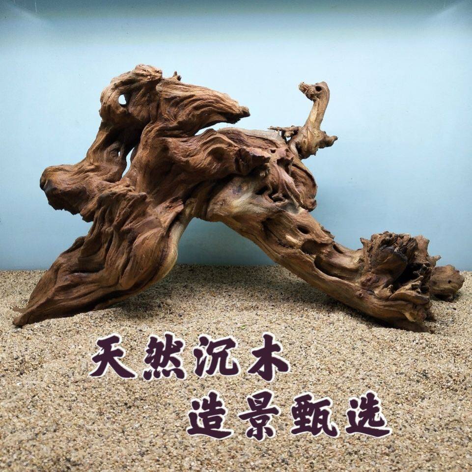 枯木造景图片,室内枯木景观,枯木景观_大山谷图库