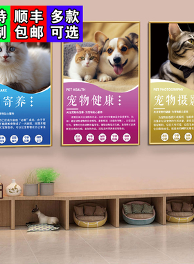 宠物店墙面装饰动物美容海报医院诊所挂画猫狗护理知识文化墙壁画