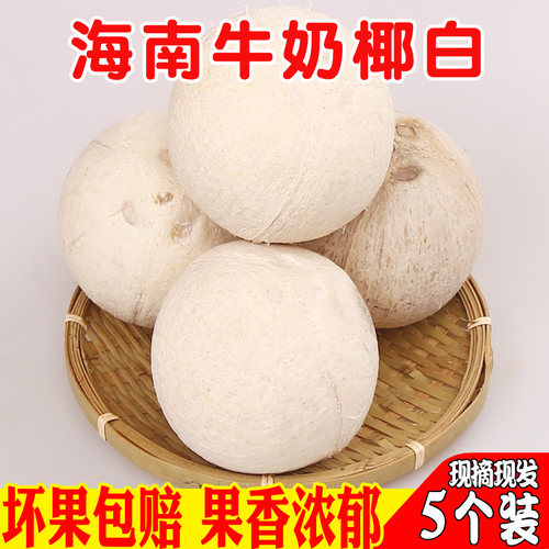 5个装海南新鲜奶香椰白去皮椰子